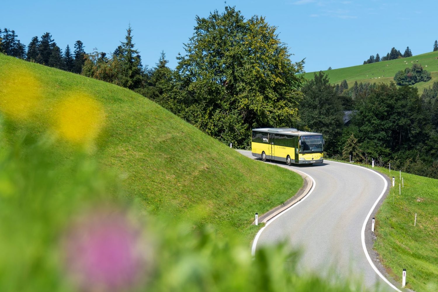 Landbus-Bregenzerwald-Sommer-c-Martin-Vogel-Vorarlberg-Tourismus
